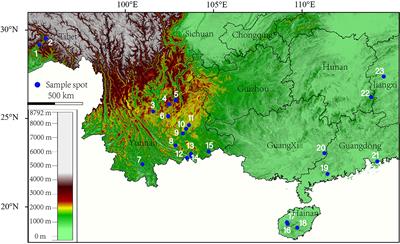 Morphological characteristics of seed starch granules of Fagaceae in South China and their implication in paleodiet